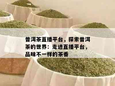 普洱茶直播平台，探索普洱茶的世界：走进直播平台，品味不一样的茶香