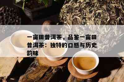 一亩田普洱茶，品鉴一亩田普洱茶：独特的口感与历史韵味