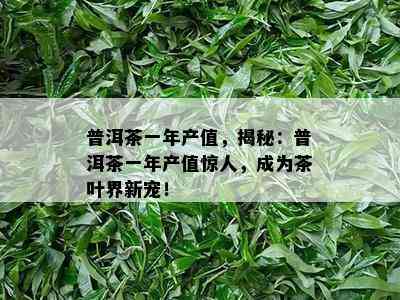 普洱茶一年产值，揭秘：普洱茶一年产值惊人，成为茶叶界新宠！