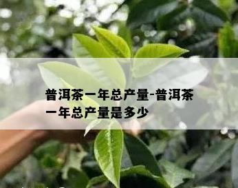 普洱茶一年总产量-普洱茶一年总产量是多少