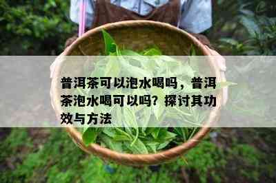 普洱茶可以泡水喝吗，普洱茶泡水喝可以吗？探讨其功效与方法