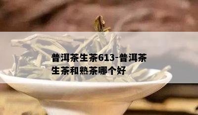 普洱茶生茶613-普洱茶生茶和熟茶哪个好