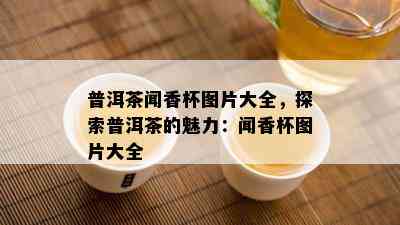 普洱茶闻香杯图片大全，探索普洱茶的魅力：闻香杯图片大全