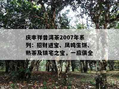 庆丰祥普洱茶2007年系列：招财进宝、凤鸣生饼、熟茶及镇宅之宝，一应俱全！