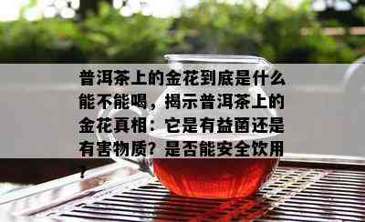 普洱茶上的金花到底是什么能不能喝，揭示普洱茶上的金花真相：它是有益菌还是有害物质？是不是能安全饮用？