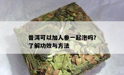 普洱可以加人参一起泡吗？了解功效与方法