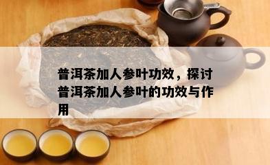 普洱茶加人参叶功效，探讨普洱茶加人参叶的功效与作用