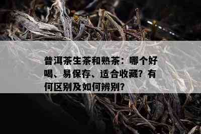 普洱茶生茶和熟茶：哪个好喝、易保存、适合收藏？有何区别及怎样辨别？