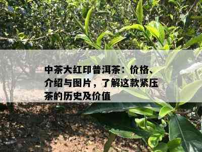 中茶大红印普洱茶：价格、介绍与图片，熟悉这款紧压茶的历史及价值