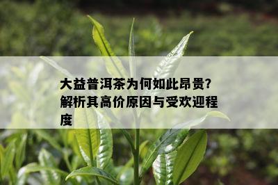 大益普洱茶为何如此昂贵？解析其高价起因与受欢迎程度