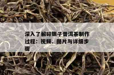 深入了解碎银子普洱茶制作过程：视频、图片与详细步骤