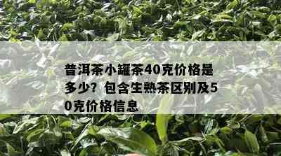 普洱茶小罐茶40克价格是多少？包含生熟茶区别及50克价格信息