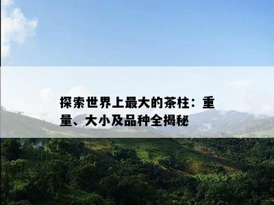 探索世界上更大的茶柱：重量、大小及品种全揭秘