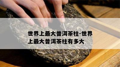 世界上更大普洱茶柱-世界上更大普洱茶柱有多大