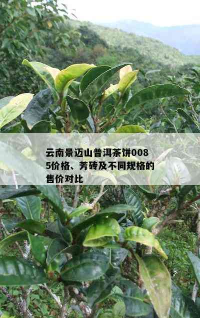 云南景迈山普洱茶饼0085价格、芳砖及不同规格的售价对比