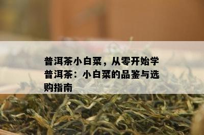 普洱茶小白菜，从零开始学普洱茶：小白菜的品鉴与选购指南