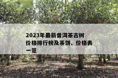 2023年最新普洱茶古树价格排行榜及茶饼、价格表一览