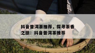 抖音普洱茶推荐，探寻茶香之旅：抖音普洱茶推荐