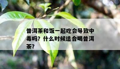 普洱茶和饭一起吃会引起中吗？什么时候适合喝普洱茶？