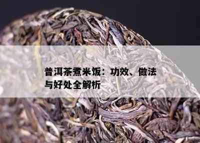 普洱茶煮米饭：功效、做法与好处全解析