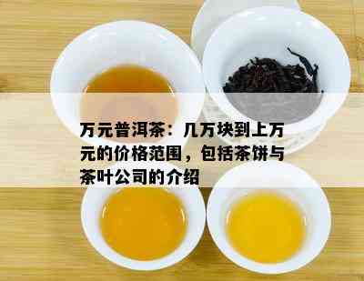 万元普洱茶：几万块到上万元的价格范围，包含茶饼与茶叶公司的介绍