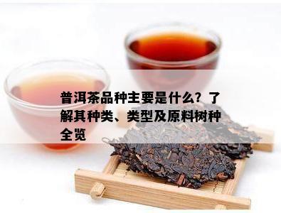 普洱茶品种主要是什么？熟悉其种类、类型及原料树种全览