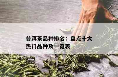 普洱茶品种排名：盘点十大热门品种及一览表