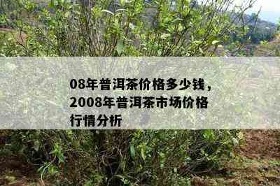 08年普洱茶价格多少钱，2008年普洱茶市场价格行情分析