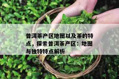 普洱茶产区地图以及茶的特点，探索普洱茶产区：地图与特别特点解析