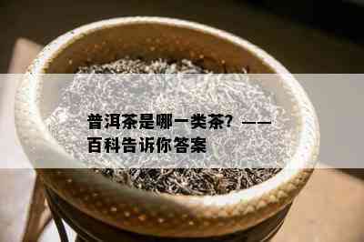 普洱茶是哪一类茶？—— 百科告诉你答案