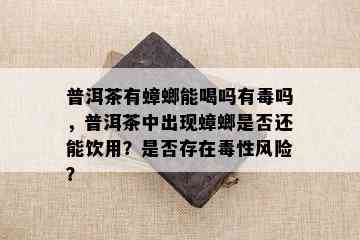 普洱茶有蟑螂能喝吗有吗，普洱茶中出现蟑螂是不是还能饮用？是不是存在性风险？