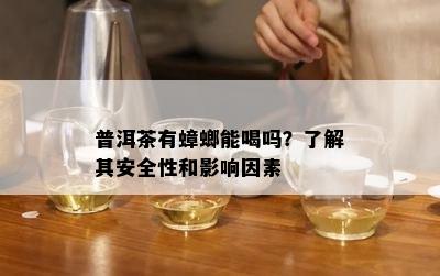 普洱茶有蟑螂能喝吗？熟悉其安全性和作用因素