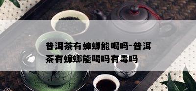 普洱茶有蟑螂能喝吗-普洱茶有蟑螂能喝吗有吗