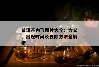 普洱茶内飞图片大全：含义、出现时间及去除方法全解析