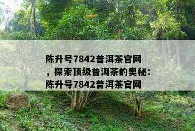 陈升号7842普洱茶官网，探索顶级普洱茶的奥秘：陈升号7842普洱茶官网