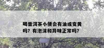 喝普洱茶小便会有油或变黄吗？有泡沫和异味正常吗？