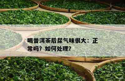 喝普洱茶后尿气味很大：正常吗？怎样解决？