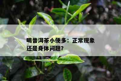 喝普洱茶小便多：正常现象还是身体疑问？