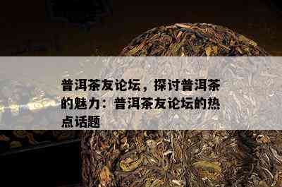 普洱茶友论坛，探讨普洱茶的魅力：普洱茶友论坛的热点话题