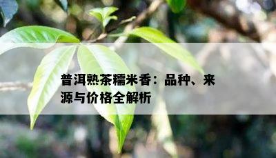 普洱熟茶糯米香：品种、来源与价格全解析