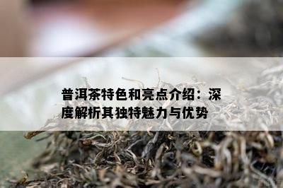 普洱茶特色和亮点介绍：深度解析其特别魅力与优势