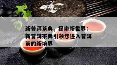 新普洱茶典，探索新世界：新普洱茶典引领您进入普洱茶的新境界