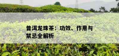 普洱龙珠茶：功效、作用与禁忌全解析