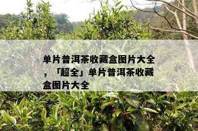 单片普洱茶收藏盒图片大全，「超全」单片普洱茶收藏盒图片大全