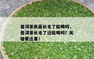 普洱茶表面长毛了能喝吗，普洱茶长毛了还能喝吗？关键看这里！