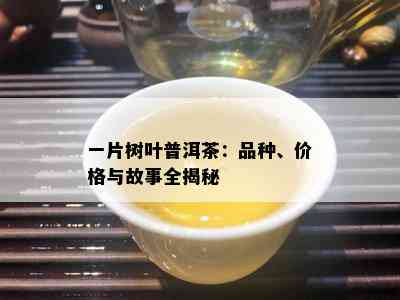 一片树叶普洱茶：品种、价格与故事全揭秘