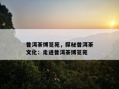 普洱茶博览苑，探秘普洱茶文化：走进普洱茶博览苑