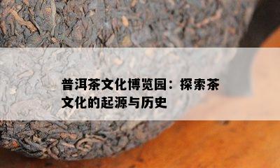 普洱茶文化博览园：探索茶文化的起源与历史