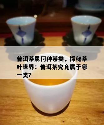 普洱茶属何种茶类，探秘茶叶世界：普洱茶究竟属于哪一类？