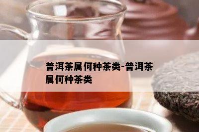 普洱茶属何种茶类-普洱茶属何种茶类